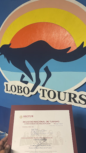 Lobo Tours Puebla - Thumbnail
