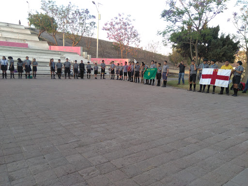 Scouts Queretaro Grupo III Logo