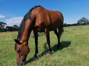 Photo n°4 de Gîte beaujolais à la ferme 'Les Boitières 
