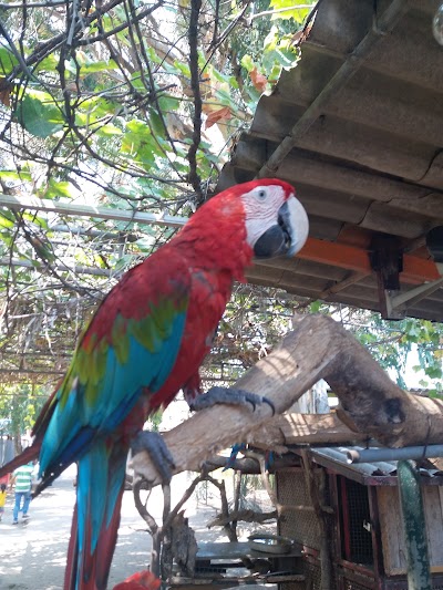 Photos of Zoo Garden Shapoor Dashad