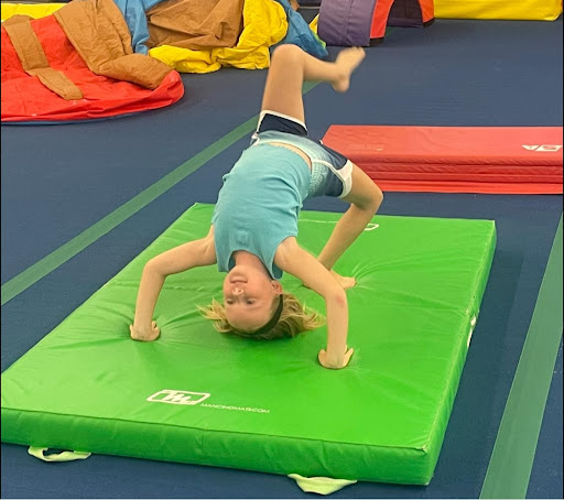 Flippers Gym Program - Visual
