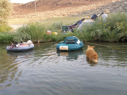 Cove Arm Campground - Thumbnail