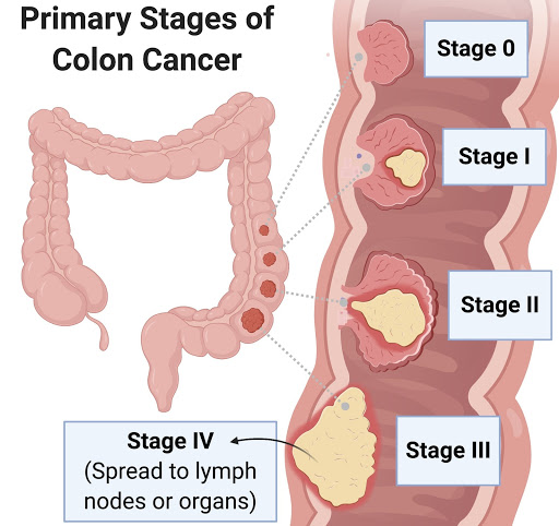 Gallery image 1163