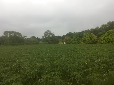 Photos of Ichamati Filling Station