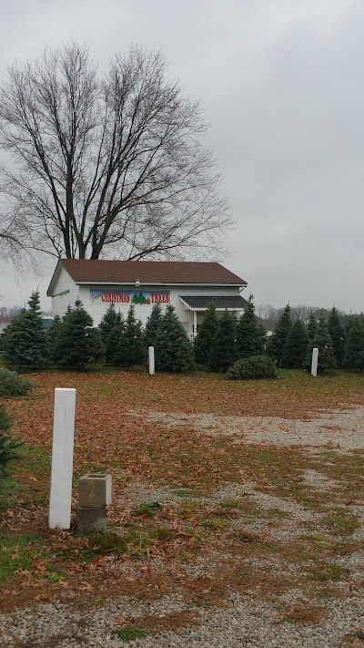Photos of Medina Christmas Tree Farm