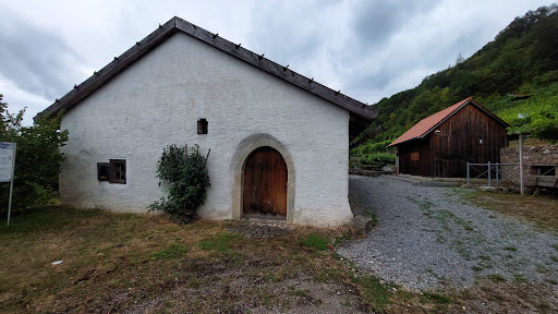 Baierweinmuseum - Visual