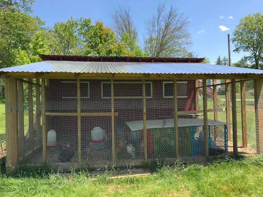 Half A Penny Farm LLC - Thumbnail