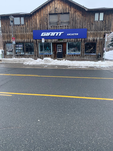 Giant Ancaster - Visual