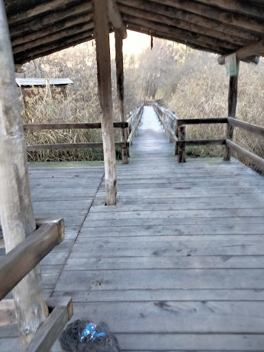 Passerella sul lago - Thumbnail