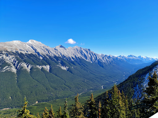 Jonview Canada - Visual