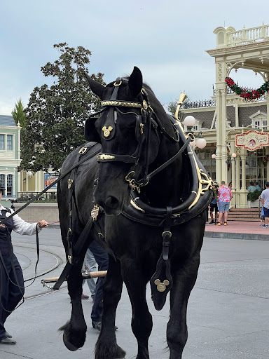 Destinations & Mouse Made Simple Gallery - United States
