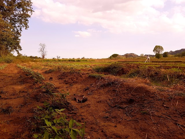 Buduruwagala
