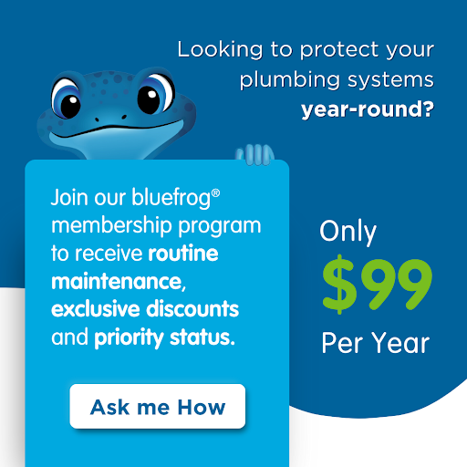 bluefrog Plumbing + Drain of New Orleans - Thumbnail