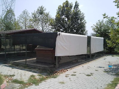 Photos of Osmanabad Animal Shelter