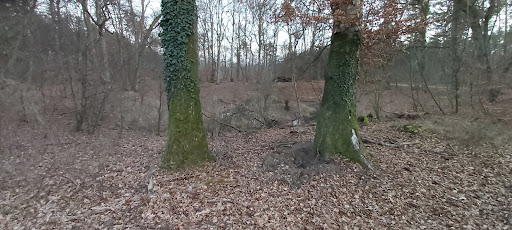 Vespersuhl - Thumbnail
