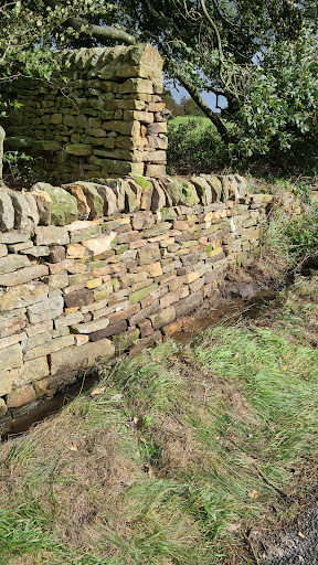 RGN Walling - Visual