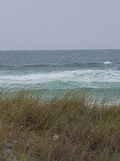 Coastal Currents - Visual