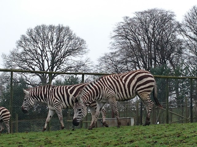 Longleat