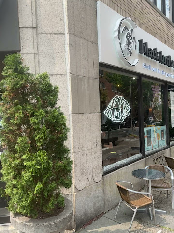 Black Turtle Coffee by null