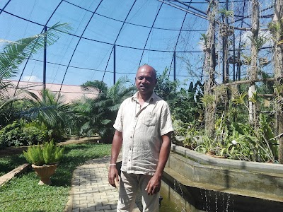 Photos of Dehigahalanda Feed Store