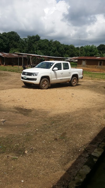 Photos of Omo Forestry Reserve
