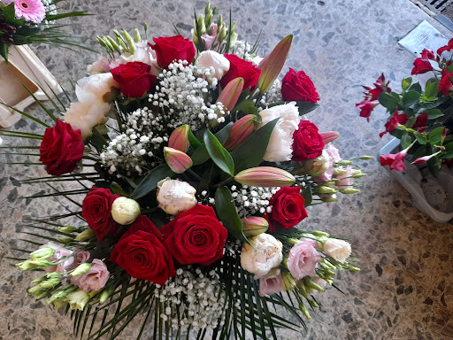 St Cyr Fleurs - Thumbnail