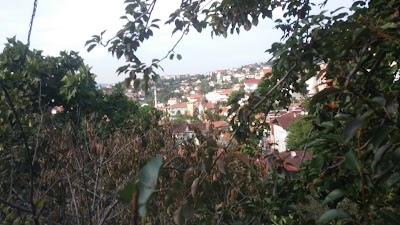 Photos of T.C. BEYKOZ BELEDİYESİ CUMYURİYET PARKI