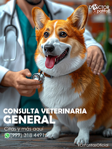 Doctor Patitas