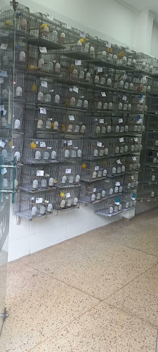 Comentarios y opiniones de ACRU Asoc. Canaricultores R. del Uruguay