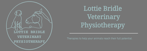 Lottie Bridle Veterinary Physiotherapy