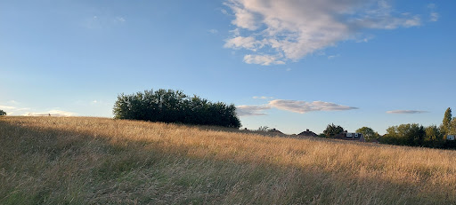 Weavers Field - Visual
