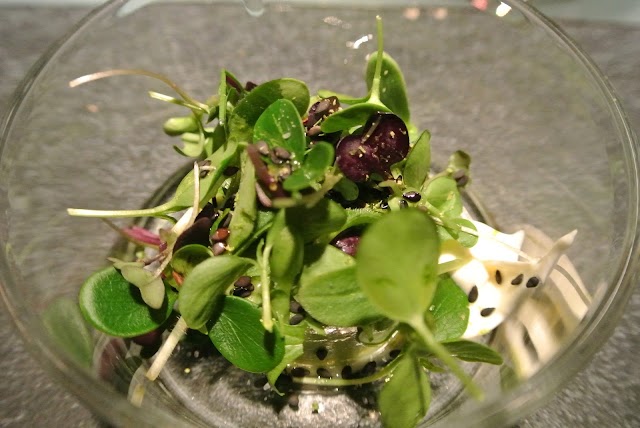 Glass Hostaria