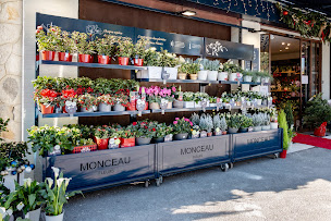 Photo n°39 de Monceau Fleurs à La Ciotat (Boutique de cadeaux)