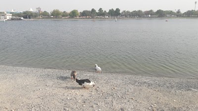 park