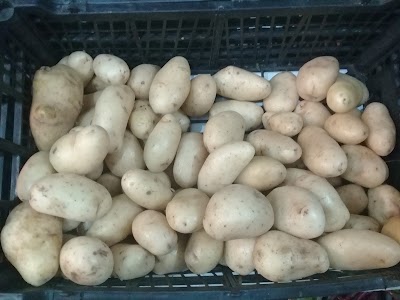 Photos of Mercadito Express El Redondel