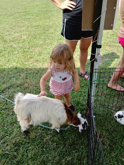 Heavenly Heart Farm & Mini Petting Zoo