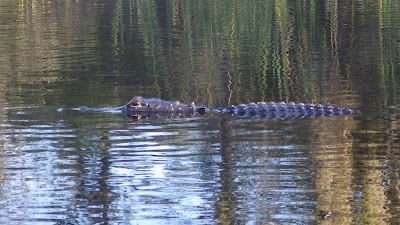 Photos of Everglades Area Tours