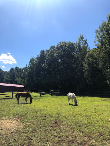 Power and Stride Equestrian Center - Thumbnail