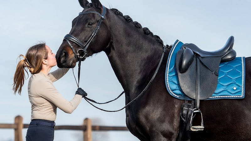 GS Equestrian photo 3