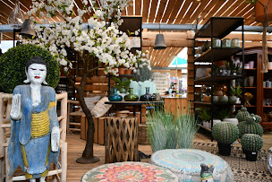 Photo n°15 de Jardinerie d'Argelès à Argelès-sur-Mer (Fournisseur de poissons en bassin)