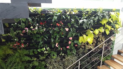 Photos of ORGANICOS PARA EL AMBIENTE OPA
