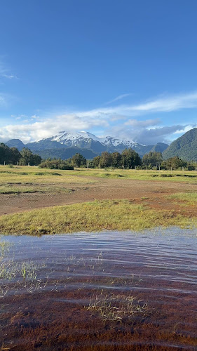 Comentarios y opiniones de Lago Chapo