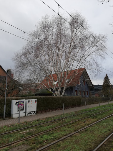 Hasselweg - Visual