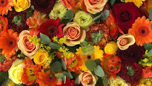 Photo n°15 de FLEUR PAR NATURE by Benjamin JEAN à Mèze (Fleuriste)