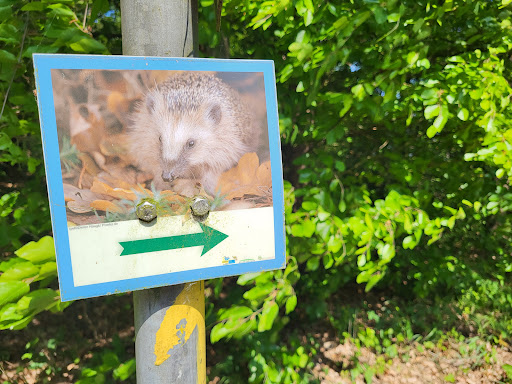 Naturroute mit Familienstrecke Gallery - Germany