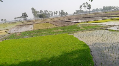 Photos of Hatoira Eidgah
