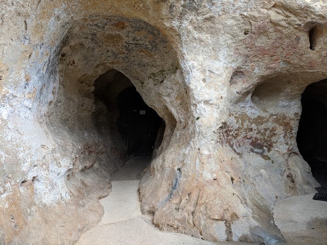 Grotte de Font-de-Gaume