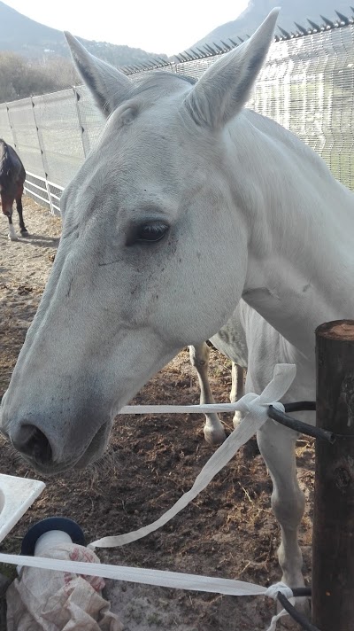 Photos of The Riding Centre