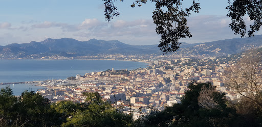Bergeron Immobiler "agence Siagne-Immobilier"