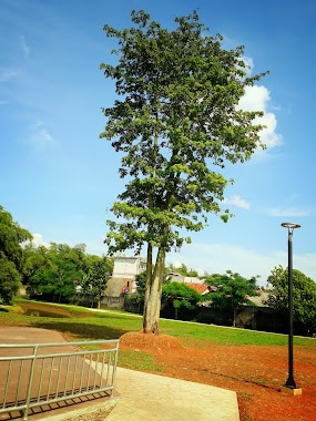 Taman Layangan, Author: Endi Supriyanto